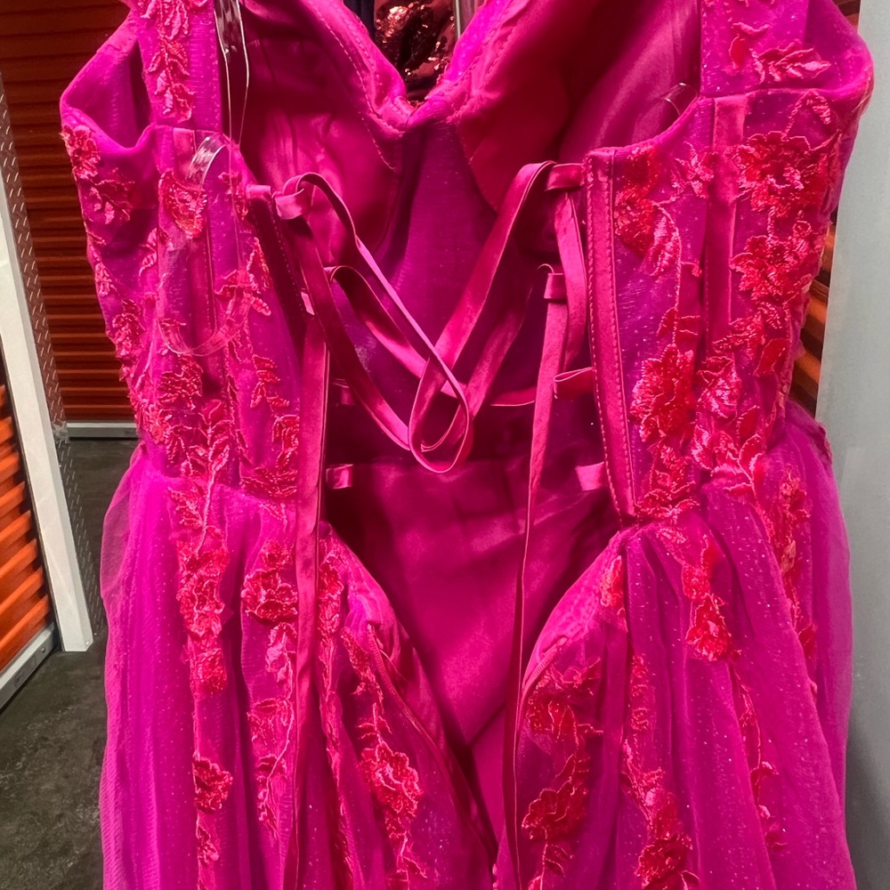 Vibrant Pink Gown with Embroidered Details - Picture 7 of 12